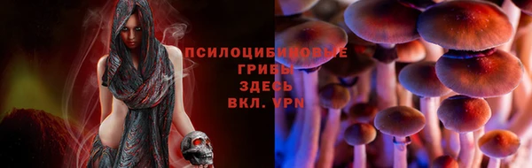 стафф Армянск