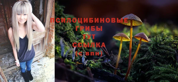 мескалин Арсеньев