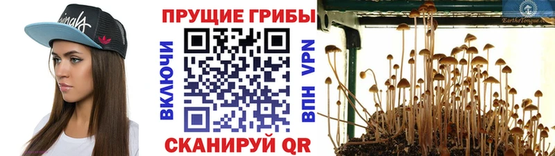 hydra рабочий сайт  Спас-Деменск  Галлюциногенные грибы Magic Shrooms 